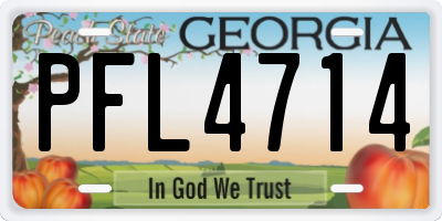 GA license plate PFL4714