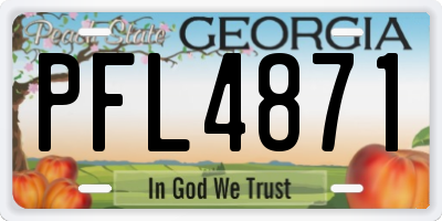 GA license plate PFL4871