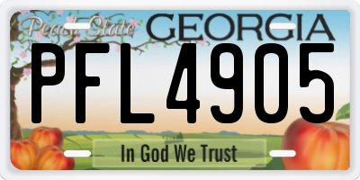GA license plate PFL4905