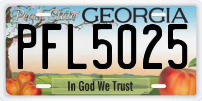 GA license plate PFL5025