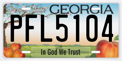 GA license plate PFL5104