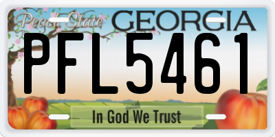 GA license plate PFL5461