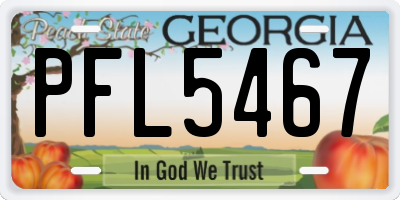 GA license plate PFL5467