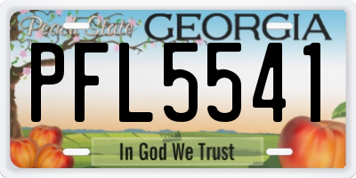 GA license plate PFL5541