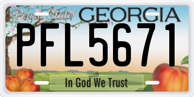 GA license plate PFL5671
