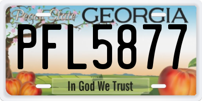 GA license plate PFL5877