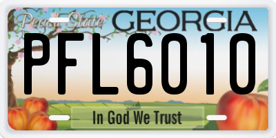 GA license plate PFL6010