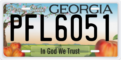 GA license plate PFL6051