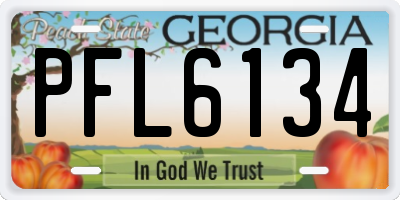 GA license plate PFL6134