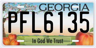 GA license plate PFL6135