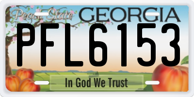 GA license plate PFL6153