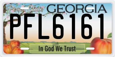 GA license plate PFL6161
