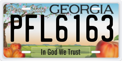 GA license plate PFL6163