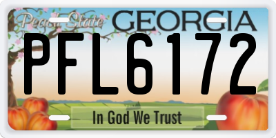 GA license plate PFL6172