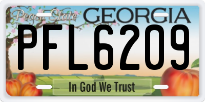 GA license plate PFL6209