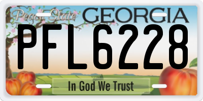GA license plate PFL6228