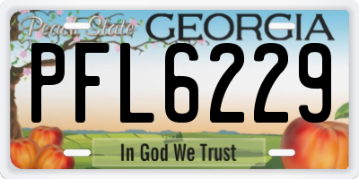 GA license plate PFL6229