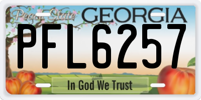 GA license plate PFL6257