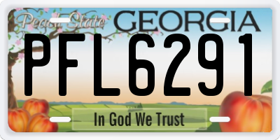 GA license plate PFL6291
