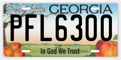 GA license plate PFL6300