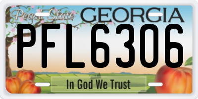GA license plate PFL6306