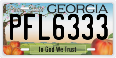 GA license plate PFL6333