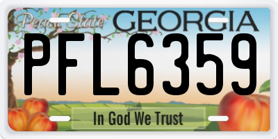 GA license plate PFL6359