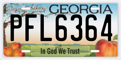 GA license plate PFL6364