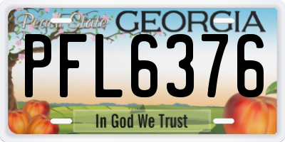 GA license plate PFL6376