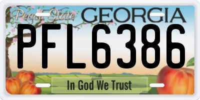 GA license plate PFL6386