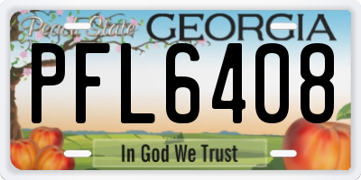 GA license plate PFL6408
