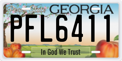 GA license plate PFL6411