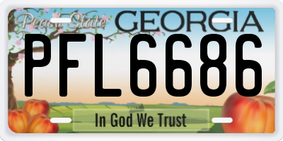 GA license plate PFL6686
