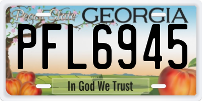 GA license plate PFL6945
