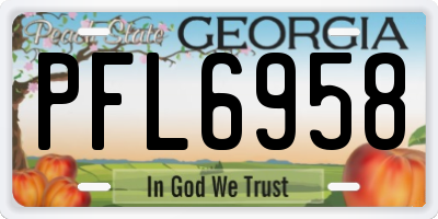 GA license plate PFL6958