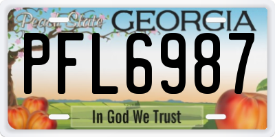 GA license plate PFL6987