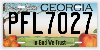 GA license plate PFL7027