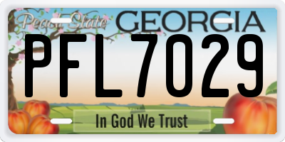 GA license plate PFL7029