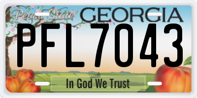 GA license plate PFL7043