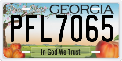 GA license plate PFL7065