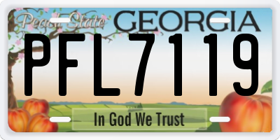 GA license plate PFL7119