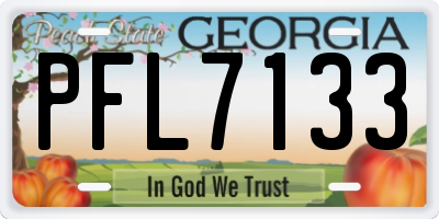 GA license plate PFL7133