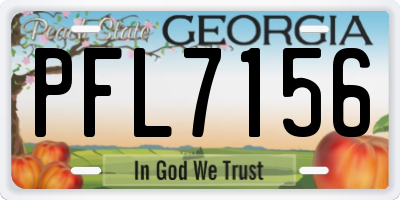 GA license plate PFL7156