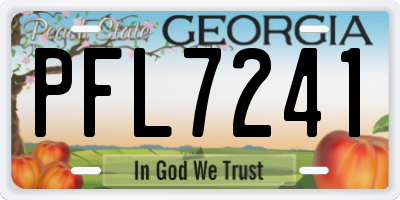 GA license plate PFL7241