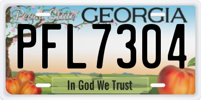 GA license plate PFL7304