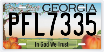 GA license plate PFL7335