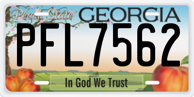 GA license plate PFL7562