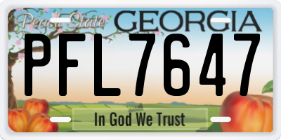 GA license plate PFL7647