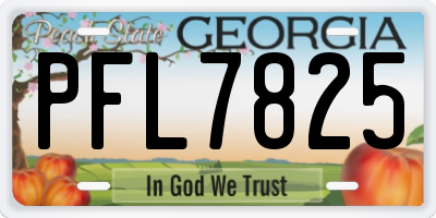 GA license plate PFL7825