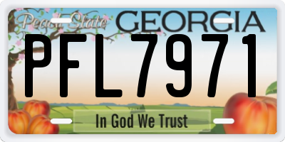 GA license plate PFL7971